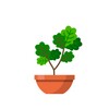 Icono de Terrarium