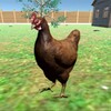 Pictogramă Chicken Simulator