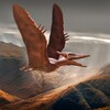 Pteranodon Simulator icon