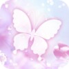 White Butterfly Live Wallpaper icon