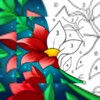 أيقونة Paint by Number: Free Coloring Book