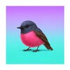 Icona di Bird Songs: Ringtones