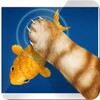 Simulator Cat Fishing icon