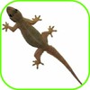 Lizard Fall icon
