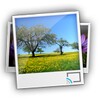 PhotoCast icon