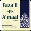 أيقونة Faza