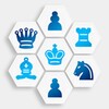 Chess 3D Master icon