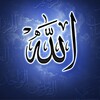 Quran Mp3 Offline Hani Rifai icon