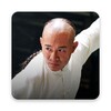 jet li pictures icon