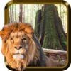 Wild Animals HD icon