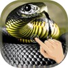 Magic Touch Cobra Attack icon