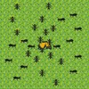 Icono de Ants' Life