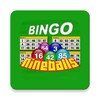 Icona di Nineballs Bingo