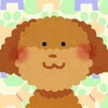 Dog Concentration (card game) icon