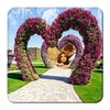 Garden Photo Frame - Photo Edi icon