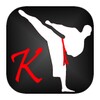 Karate Lessons icon