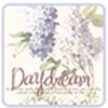 Daydream3 Go Launcher EX icon