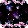 Icono de Sakura Night