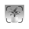 Icono de Plant identify