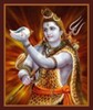Shiva Mantra icon
