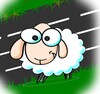 Crossing Sheep icon