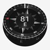 3D Compass icon