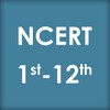 NCERT Books & Solutions icon