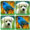 Fun With Animals icon