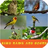 Bird Name And Sound icon