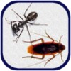 New Smash Ants icon