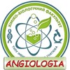 Human Anatomy. Angiology icon