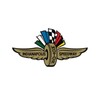 Indianapolis Motor Speedway (IMS) icon