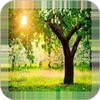 Tree Backgrounds icon