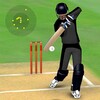 أيقونة Smashing Cricket