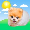 Boo Weather icon