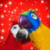 Talking Parrot Couple Free icon
