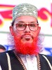 Икона Delawar Hossain Sayedee