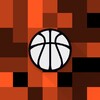 Basketball Companion icon