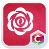 Icon von Red Rose