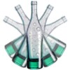 Spin The Bottle icon