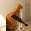Икона Cat brush challenge