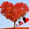 مشاعر الأخرين - اختبارات منوعة simgesi