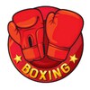Boxing Round Tracker icon