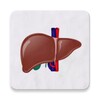 Fatty Liver Diet Healthy Foods icon