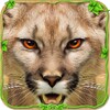 Furious Cougar Simulator icon