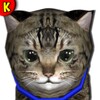 Kitty lovely 🐱 Virtual Pet icon