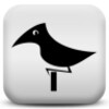 bird sleep sounds icon