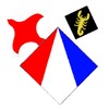 Battle of kites icon