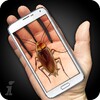 Cockroach Hand Funny Joke icon