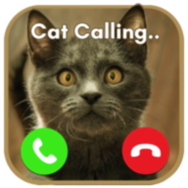 Fake Call Prank Animals for Android - Download the APK from Uptodown